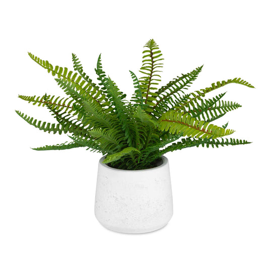 American Home Furniture Uttermost Boston Fern In White Ceramic Pot