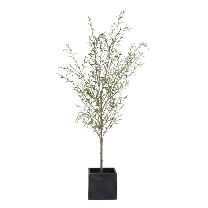 American Home Furniture Uttermost Abundance Potted Olive Tree