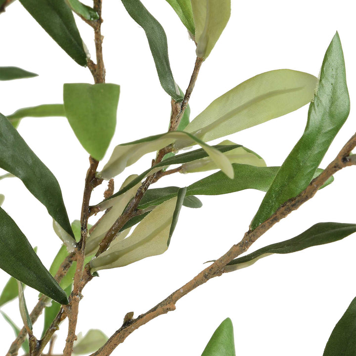 American Home Furniture Uttermost Abundance Potted Olive Tree