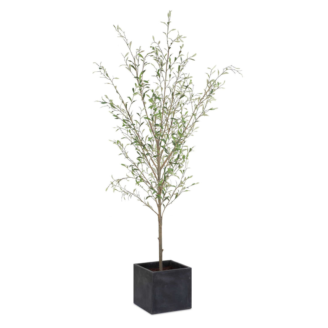 American Home Furniture Uttermost Abundance Potted Olive Tree