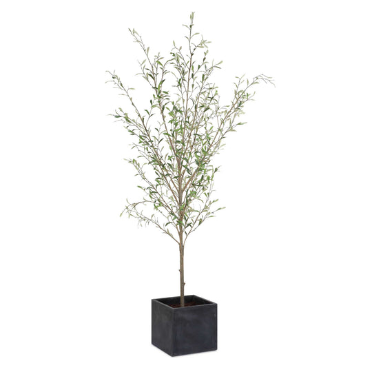 American Home Furniture Uttermost Abundance Potted Olive Tree