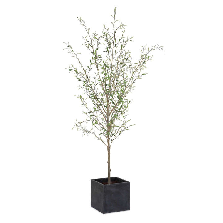 American Home Furniture Uttermost Abundance Potted Olive Tree