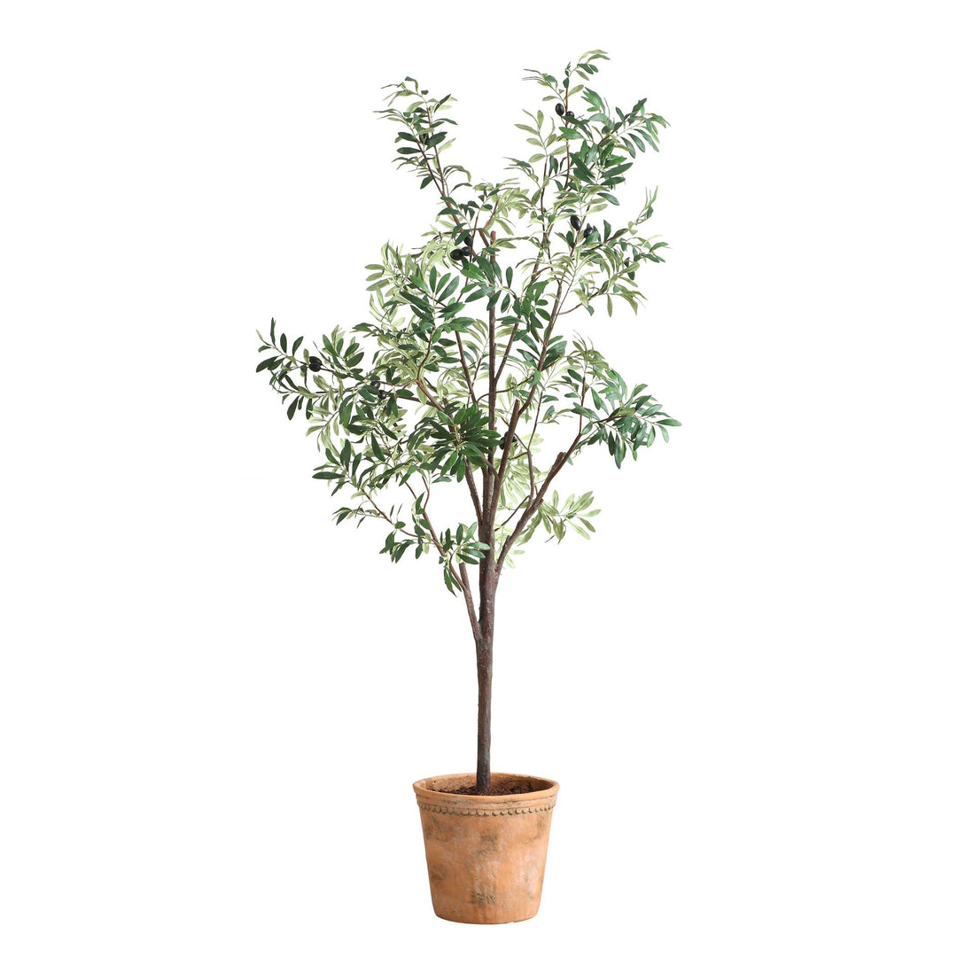 American Home Furniture Uttermost Olea Potted Olive Tree
