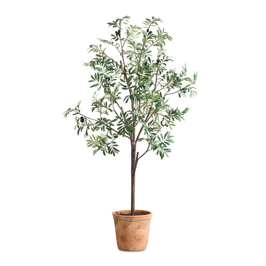 American Home Furniture Uttermost Olea Potted Olive Tree