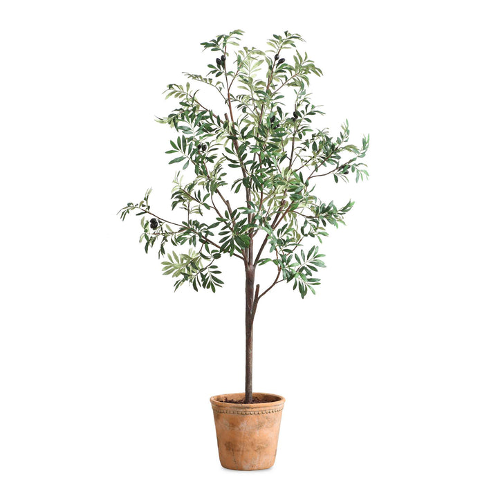 American Home Furniture Uttermost Olea Potted Olive Tree