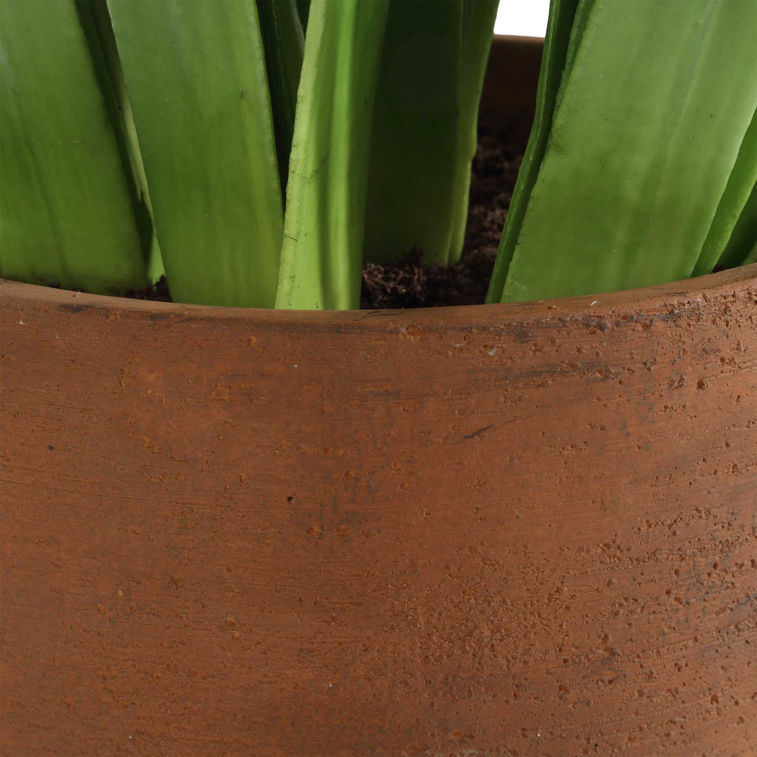 American Home Furniture Uttermost Sincerity Potted Hyacinth Plant