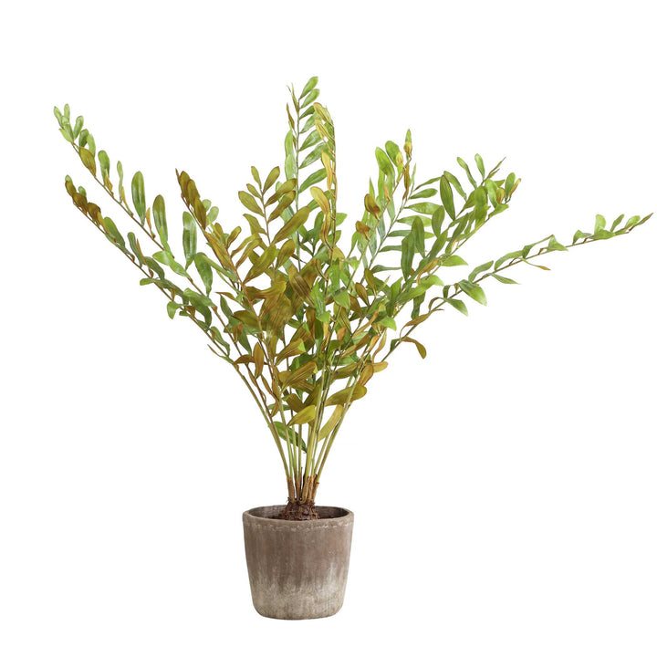American Home Furniture Uttermost Zamia Palm Accent In Planter