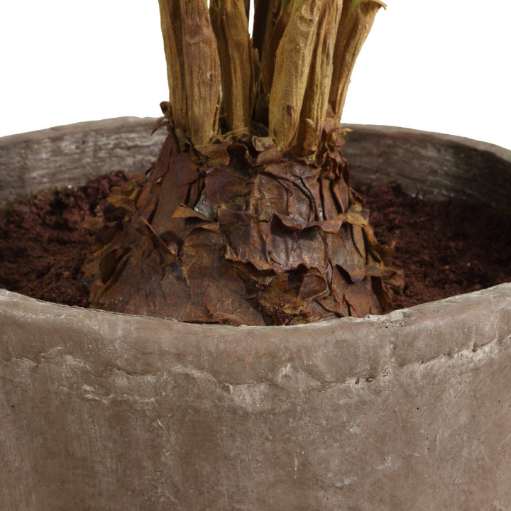 American Home Furniture Uttermost Zamia Palm Accent In Planter
