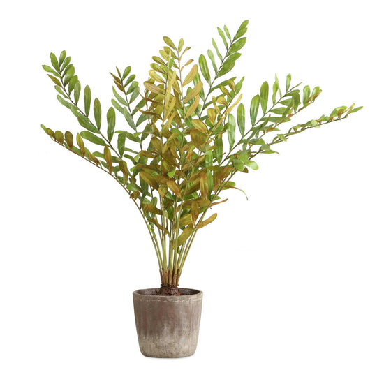 American Home Furniture Uttermost Zamia Palm Accent In Planter