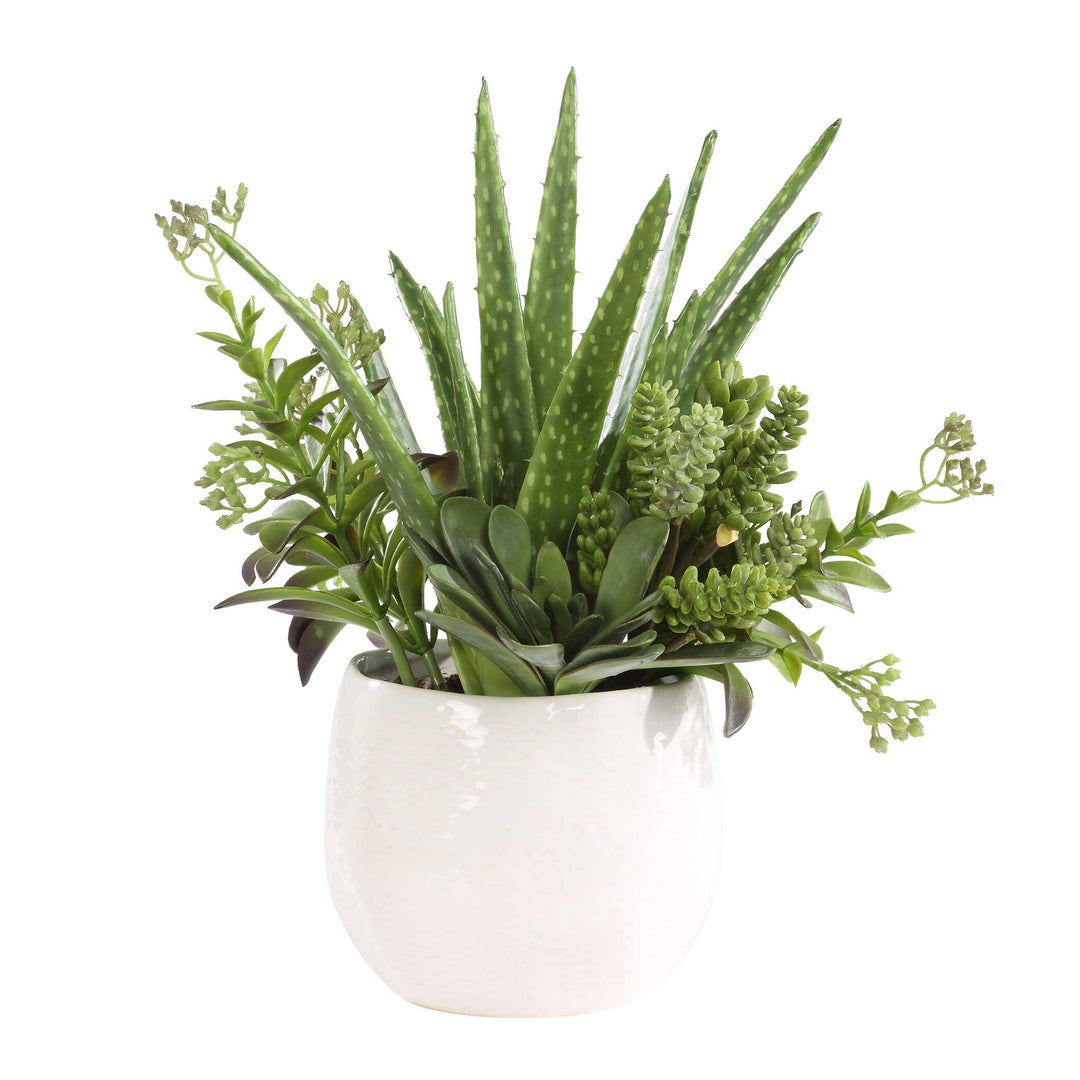 American Home Furniture Uttermost Sundown Succulent Accent Planter