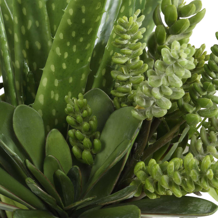 American Home Furniture Uttermost Sundown Succulent Accent Planter