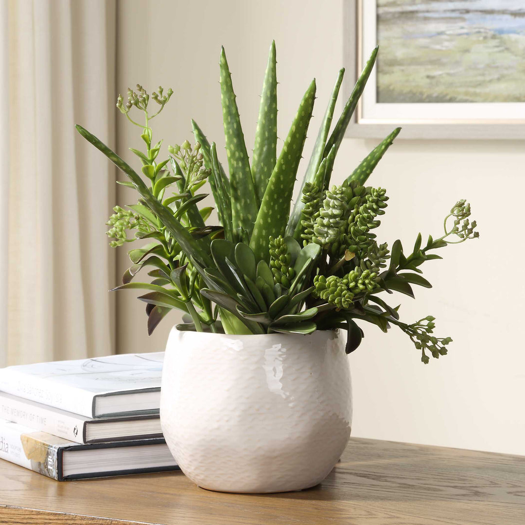 American Home Furniture Uttermost Sundown Succulent Accent Planter