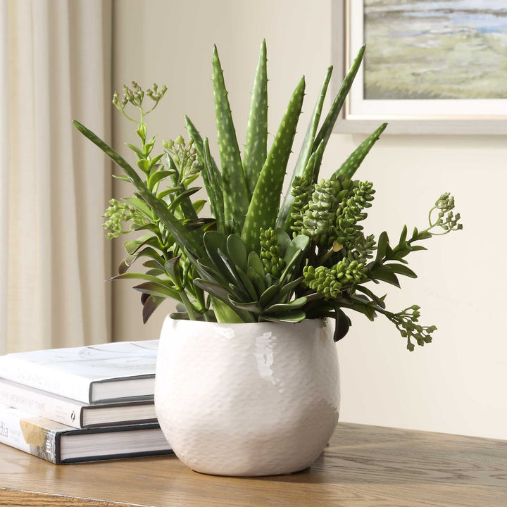 American Home Furniture Uttermost Sundown Succulent Accent Planter