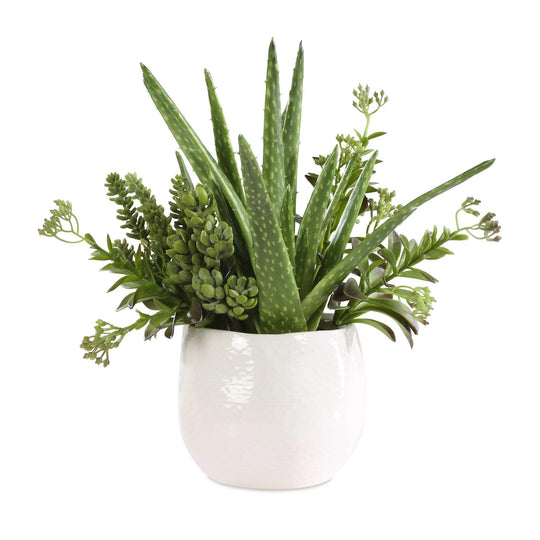American Home Furniture Uttermost Sundown Succulent Accent Planter