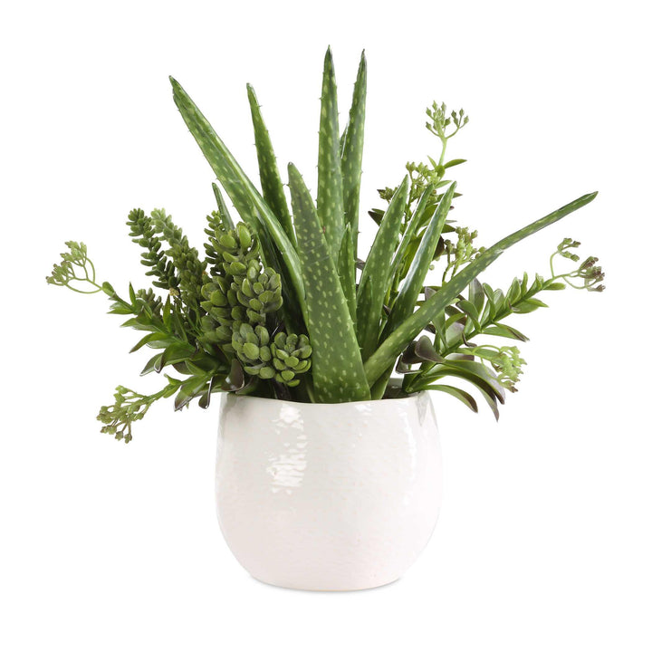American Home Furniture Uttermost Sundown Succulent Accent Planter