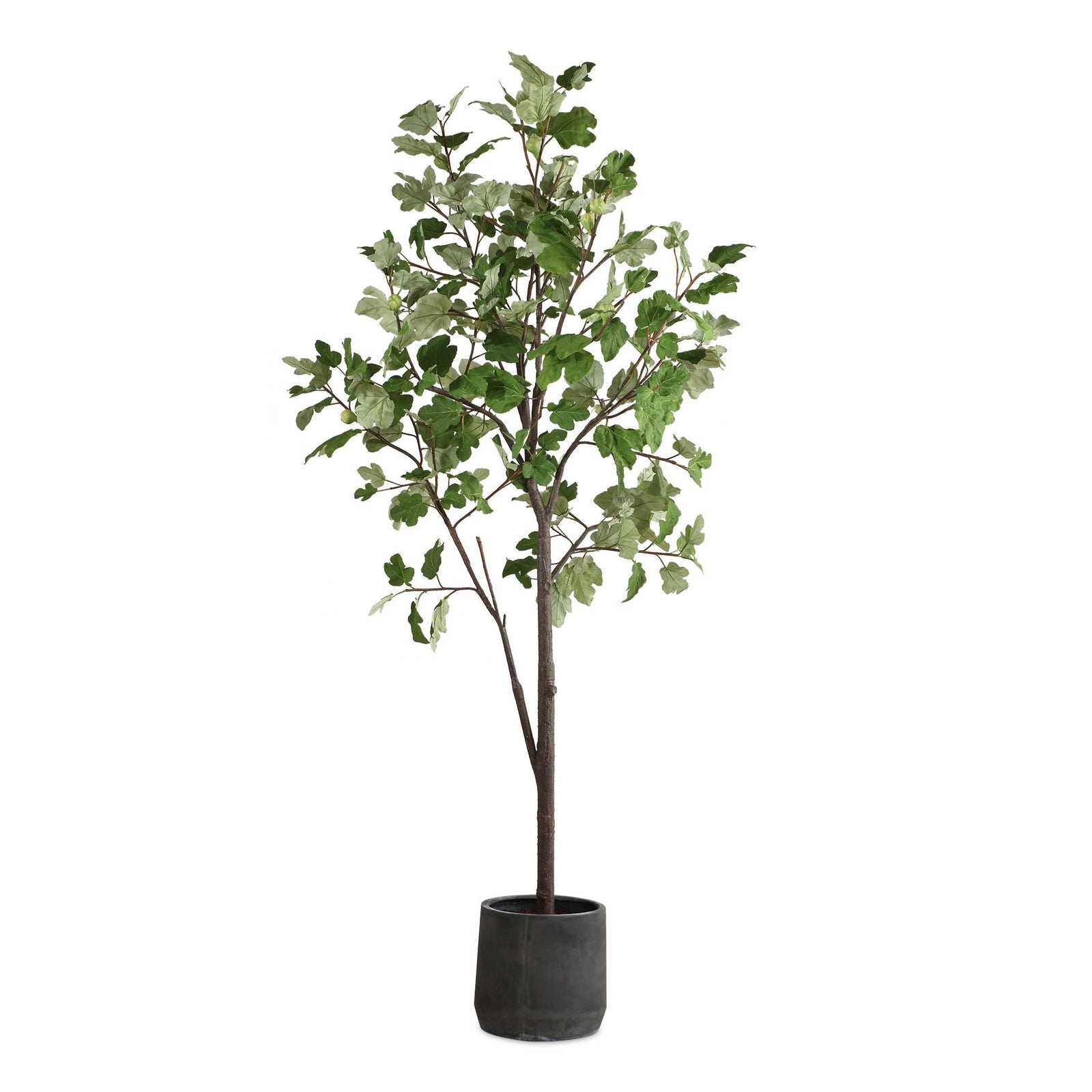 American Home Furniture Uttermost Eden Potted Fig Tree