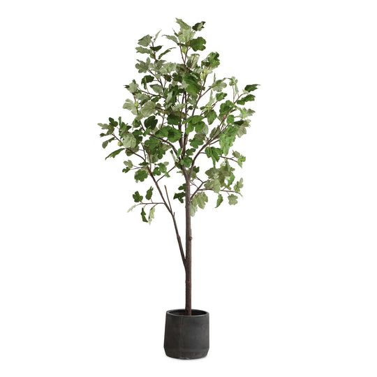 American Home Furniture Uttermost Eden Potted Fig Tree