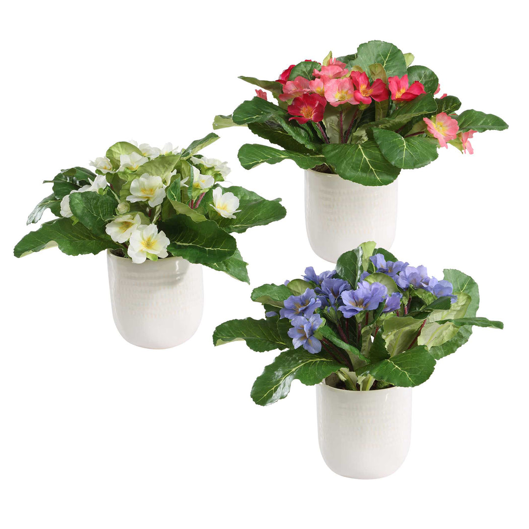 American Home Furniture Uttermost Trilogy Primrose Accents In Vases Set of 3