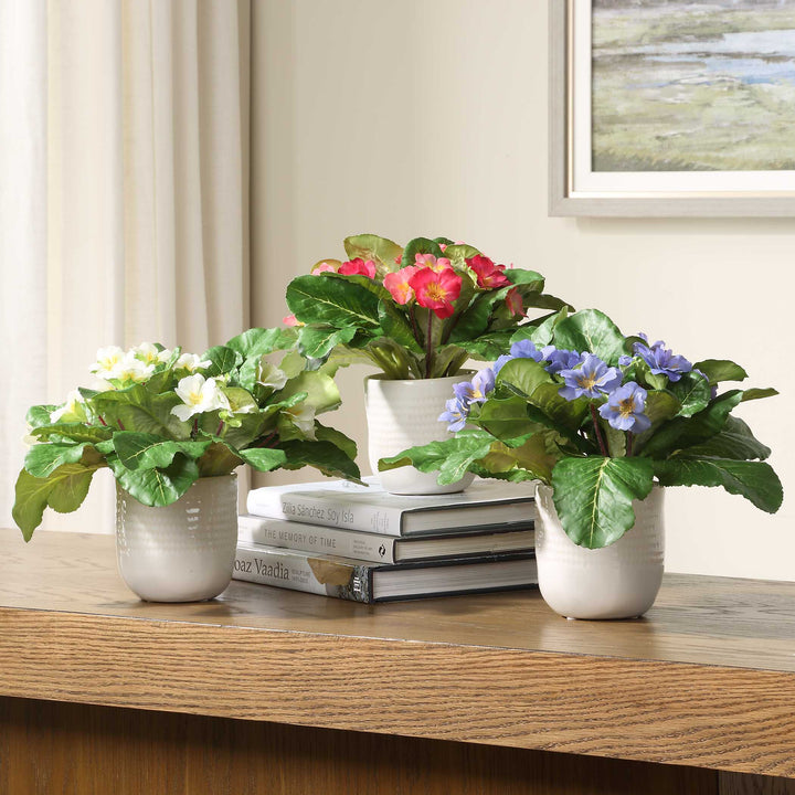 American Home Furniture Uttermost Trilogy Primrose Accents In Vases Set of 3