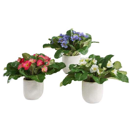 American Home Furniture Uttermost Trilogy Primrose Accents In Vases Set of 3