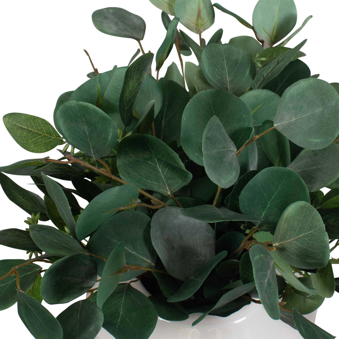 Essence Eucalyptus Accent & Vase