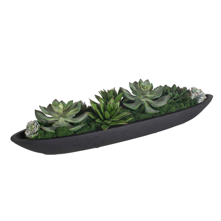 Verde Succulent Centerpiece in Bowl
