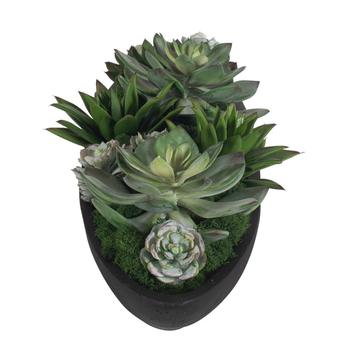 Verde Succulent Centerpiece in Bowl