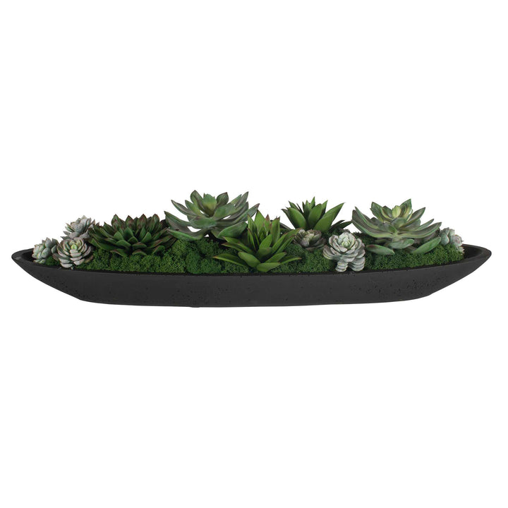 Verde Succulent Centerpiece in Bowl