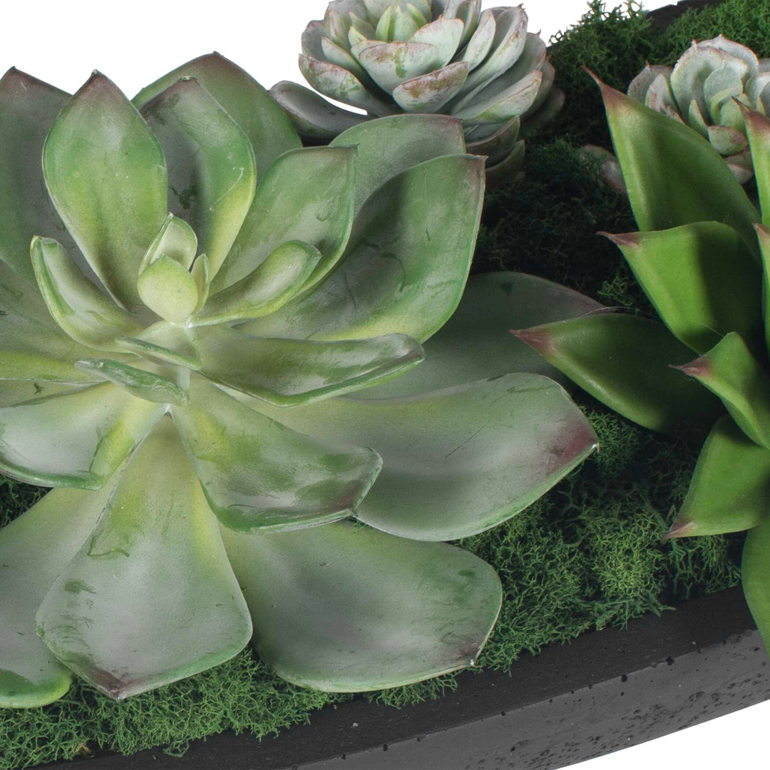 Verde Succulent Centerpiece in Bowl
