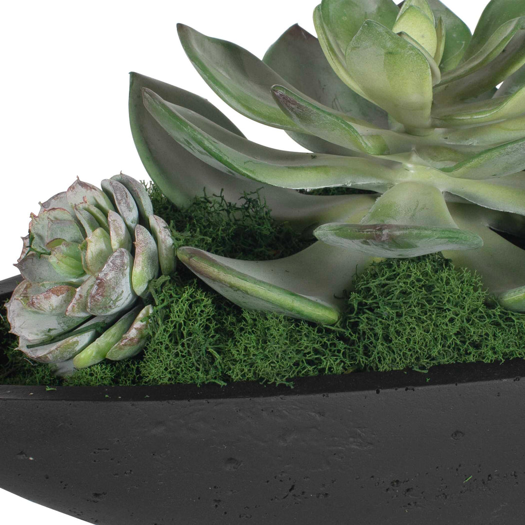Verde Succulent Centerpiece in Bowl