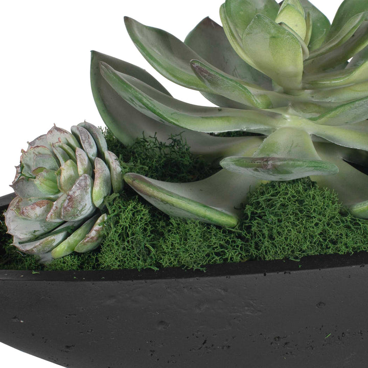Verde Succulent Centerpiece in Bowl