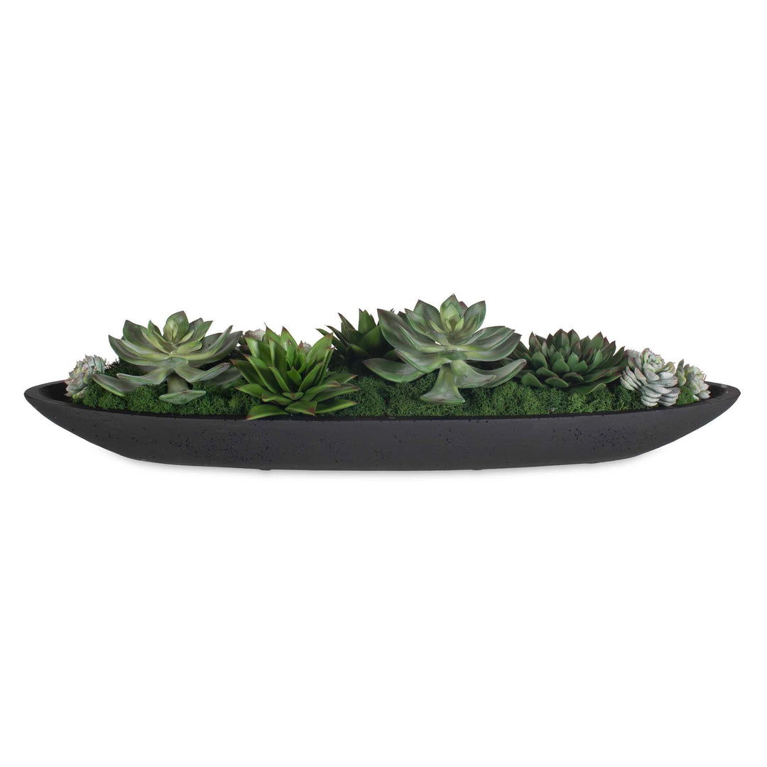 Verde Succulent Centerpiece in Bowl