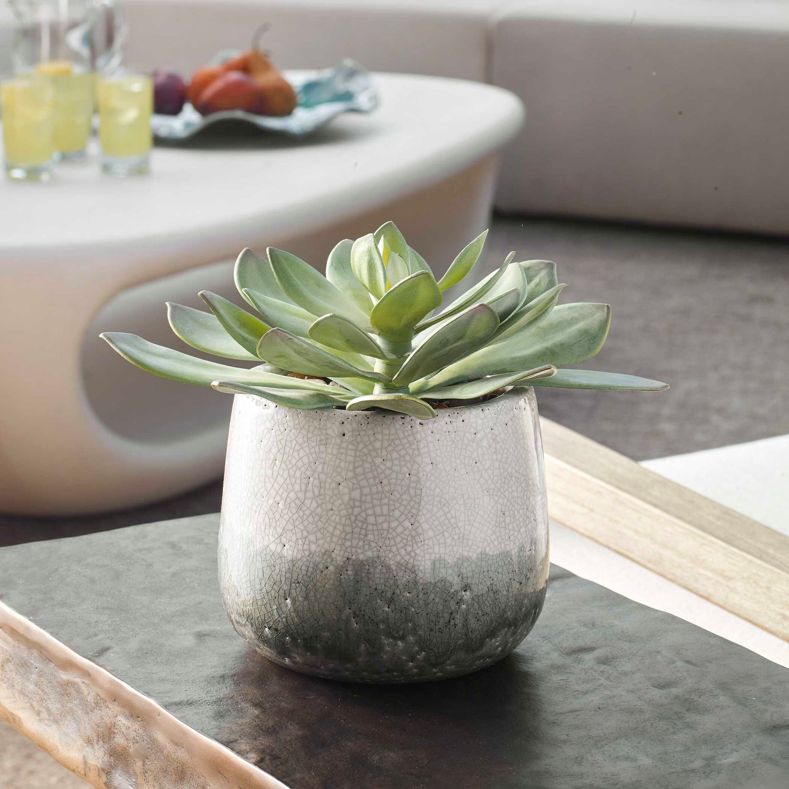 American Home Furniture Uttermost Dudleya Gray Outdoor Succulent