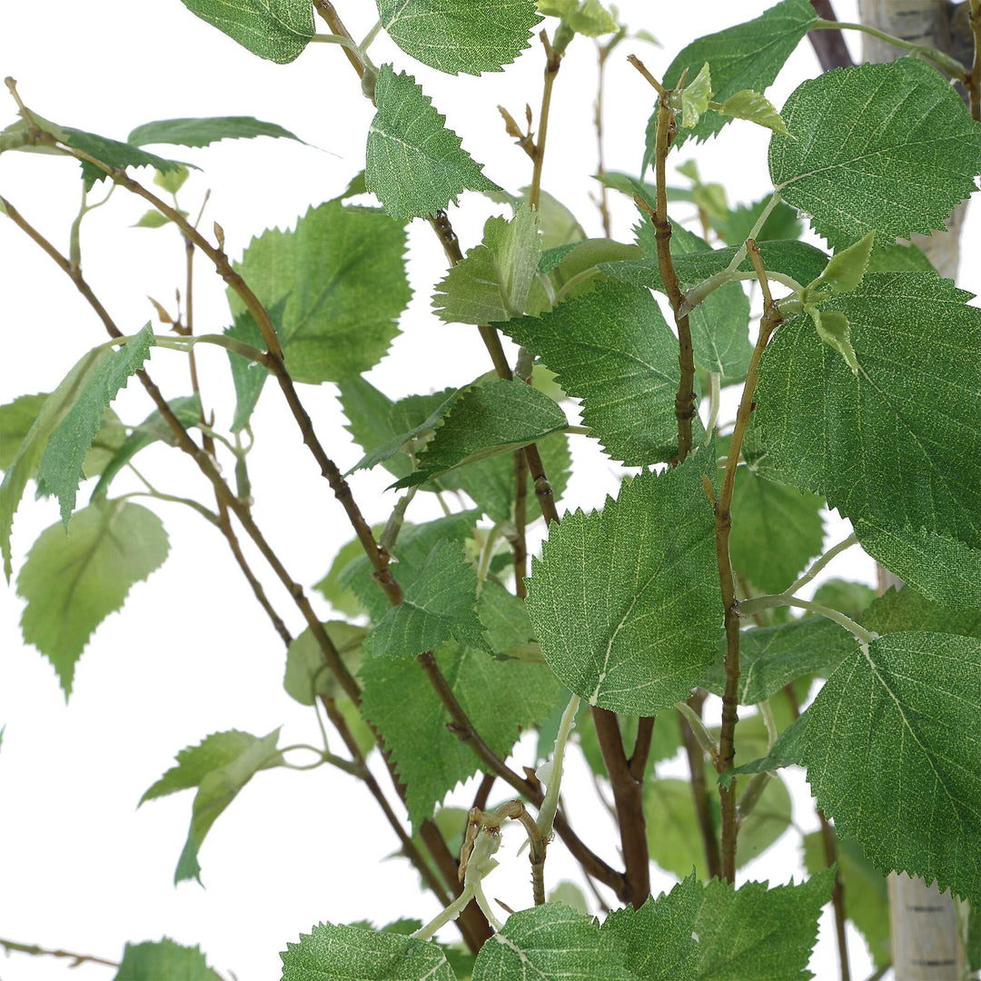 Boreal Potted Birch Tree