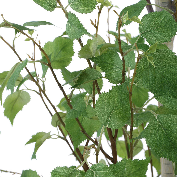 Boreal Potted Birch Tree