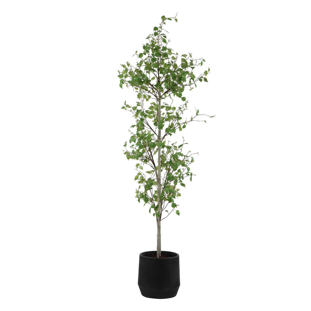 Boreal Potted Birch Tree