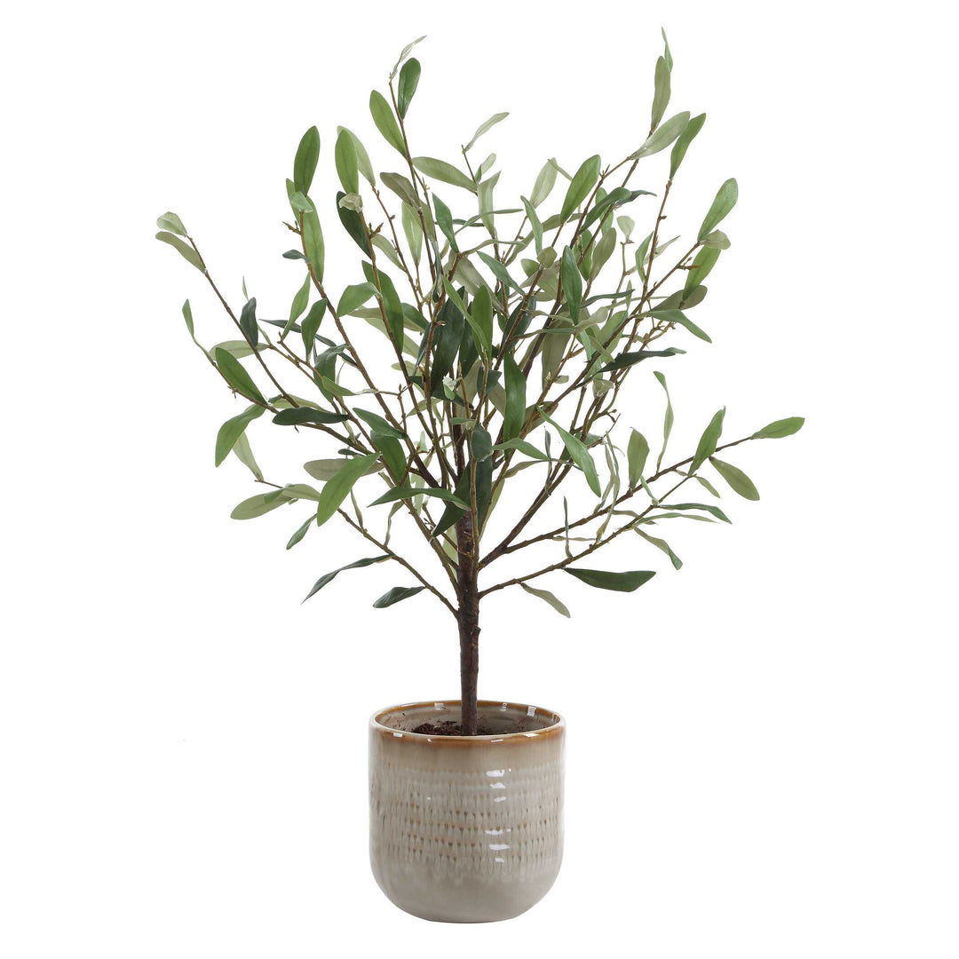 Solea Olive Accent & Textured Vase