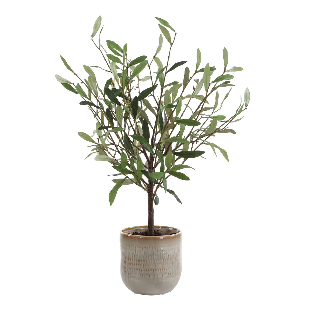 Solea Olive Accent & Textured Vase