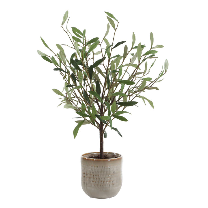 Solea Olive Accent & Textured Vase