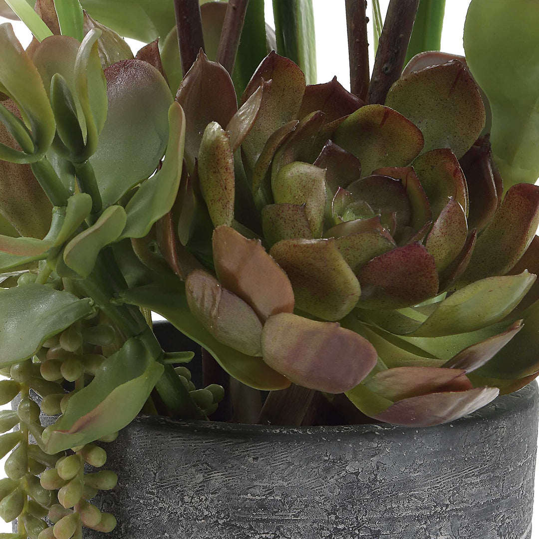 Eterna Orchid Centerpiece & Vase
