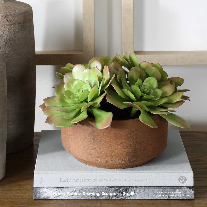 Sable Succulent Accent in Pot