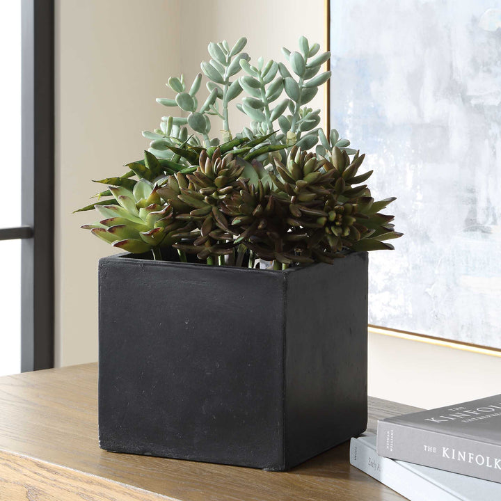 Greystone Indoor-Outdoor Succulent