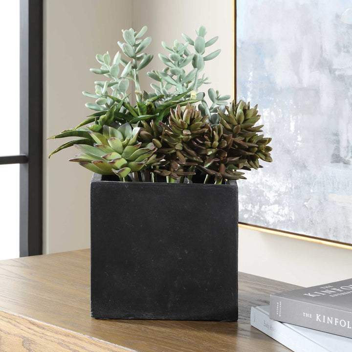 Greystone Indoor-Outdoor Succulent