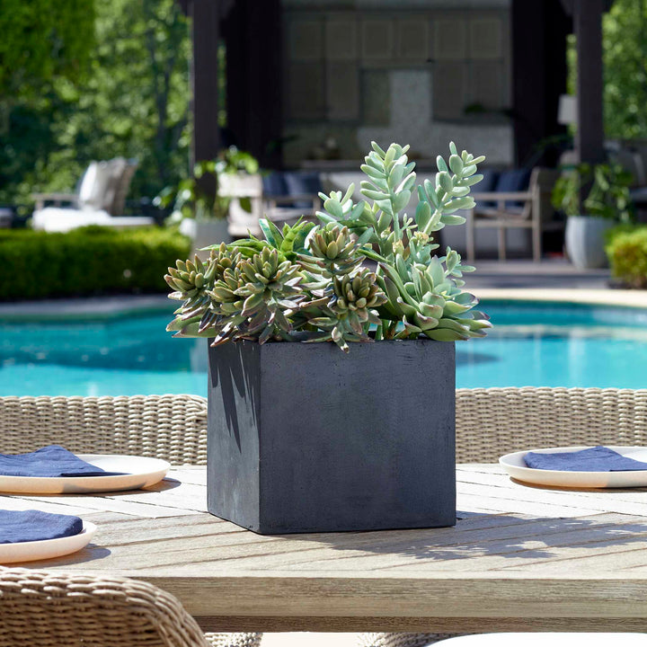 Greystone Indoor-Outdoor Succulent