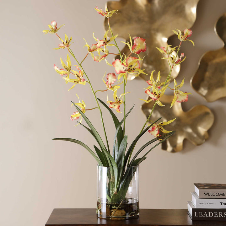 Spider Orchid in Glass Vase