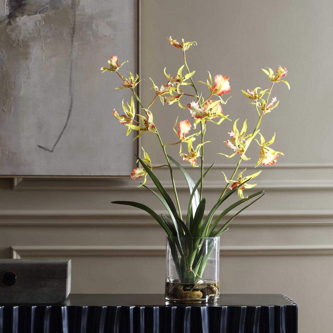 Spider Orchid in Glass Vase