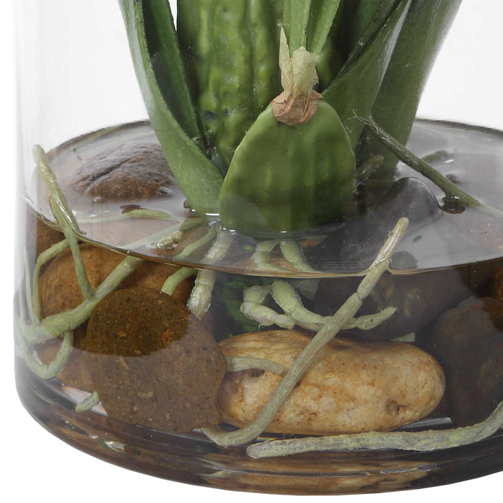 Spider Orchid in Glass Vase