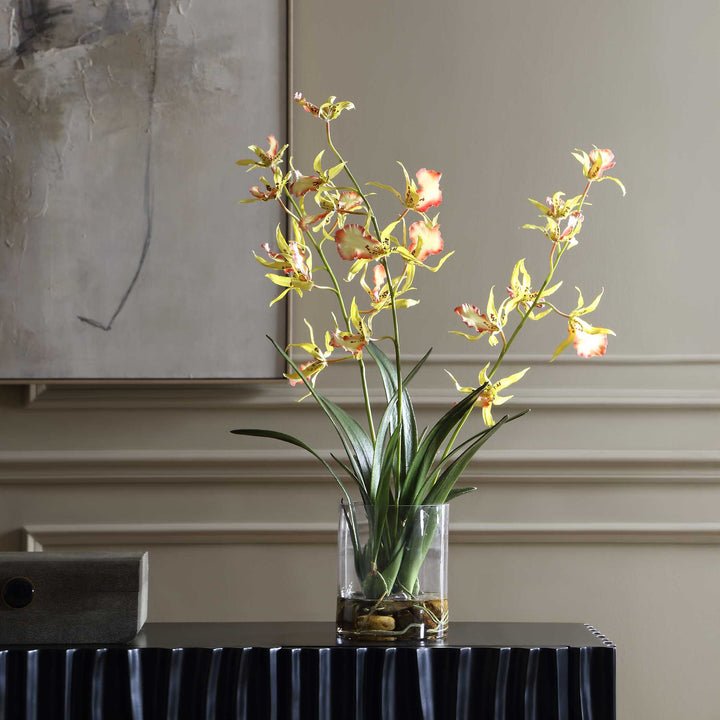Spider Orchid in Glass Vase