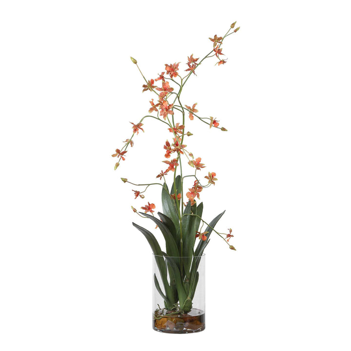 Dancing Orchid in Glass Vase