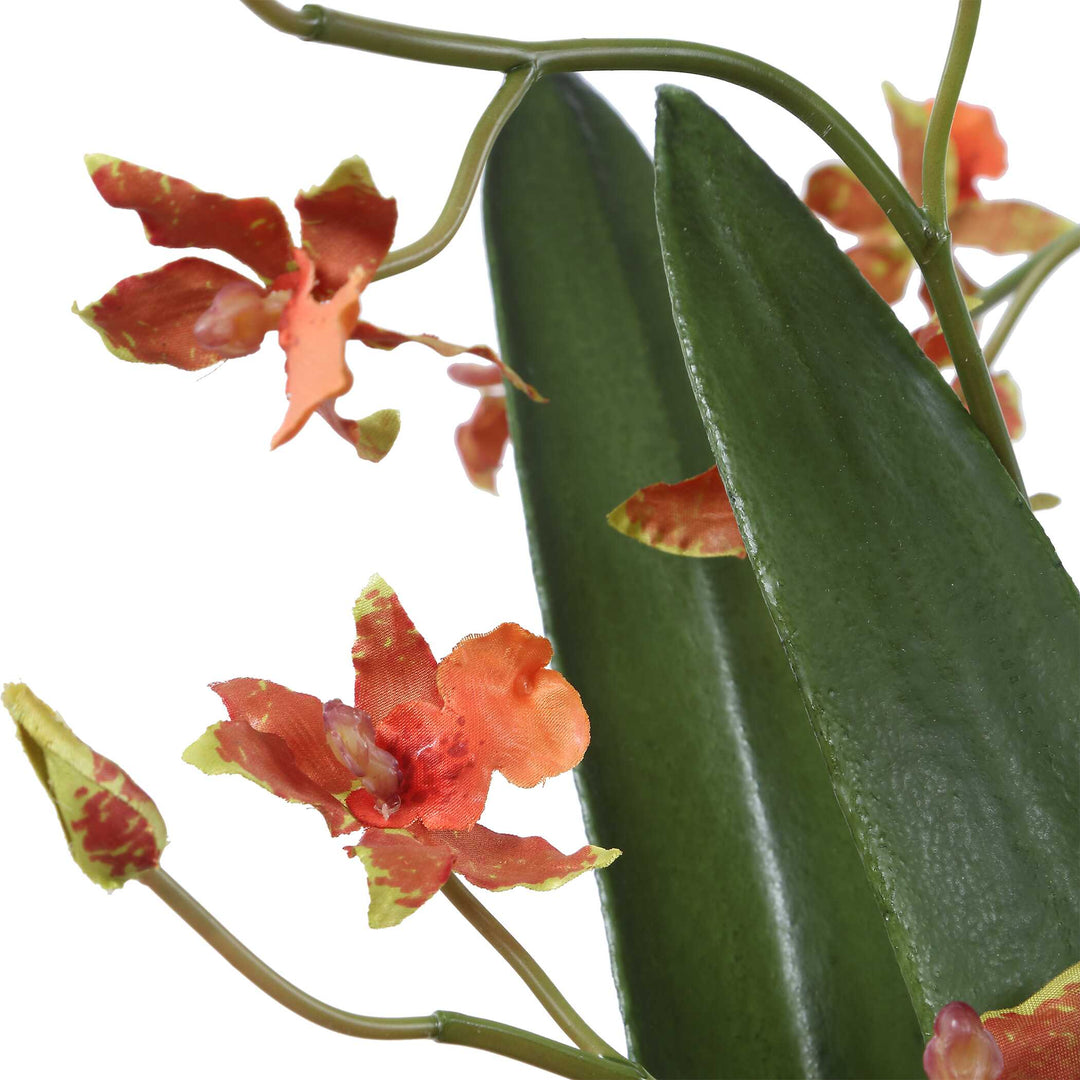 Dancing Orchid in Glass Vase